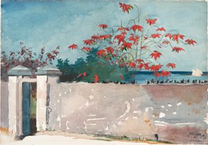 Un muro, Nassau